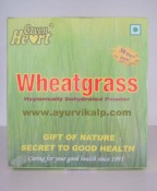 green wheat grass | wheatgrass powder | wheatgrass supplement